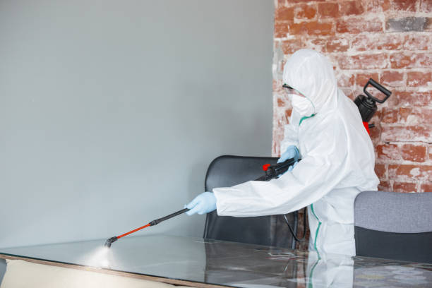 Why You Should Choose Our Mold Remediation Services in Smackover, AR